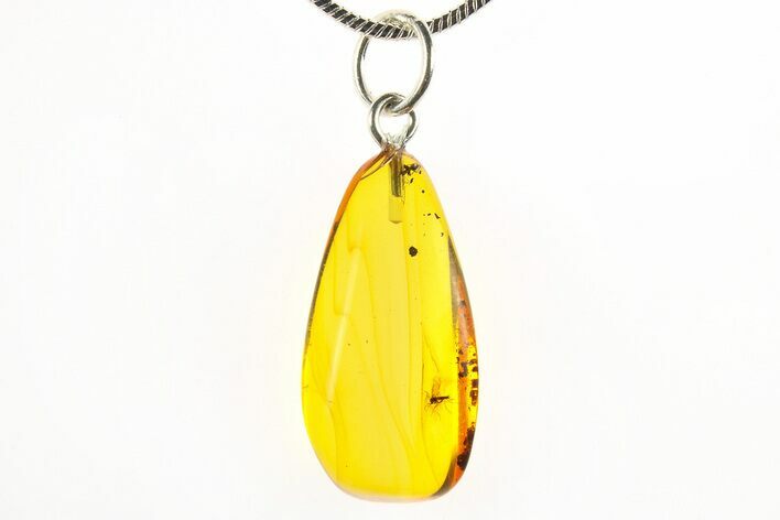 Polished Baltic Amber Pendant (Necklace) - Contains Fly! #275856